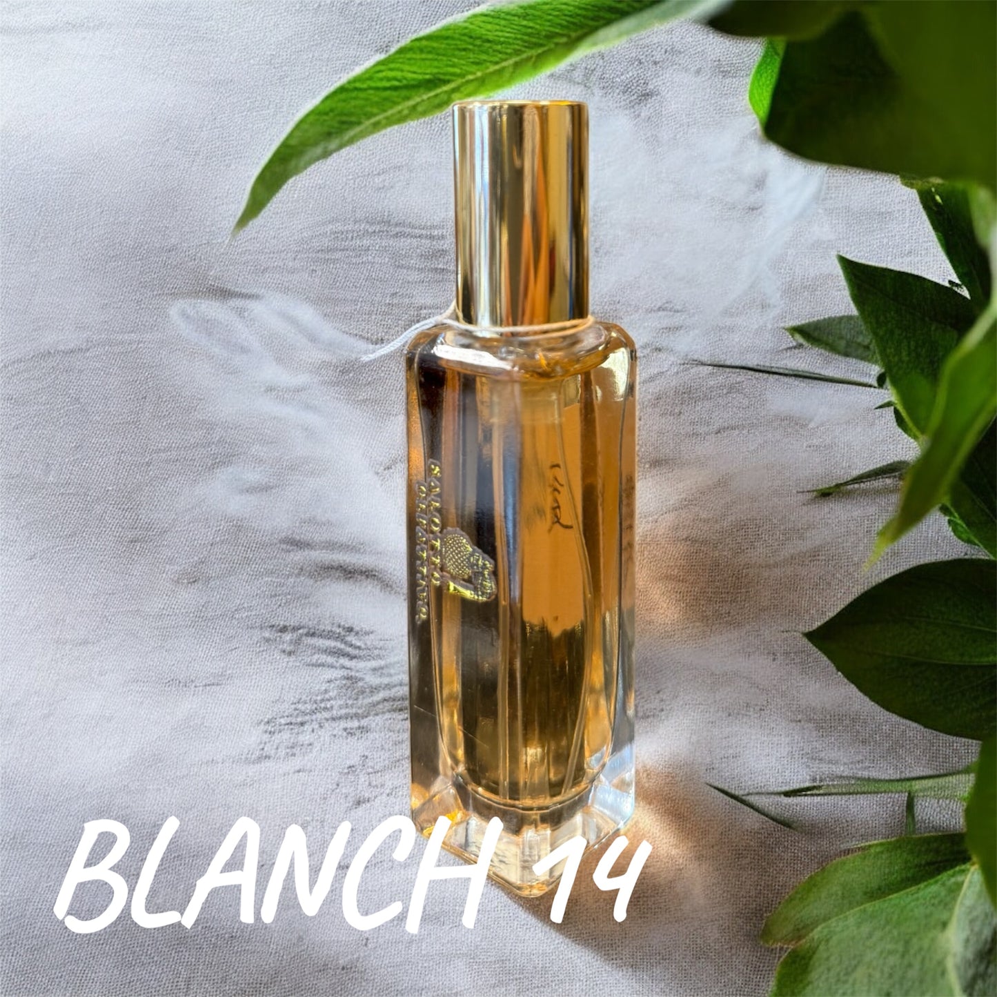 BLANCH 14 |inedito Salotto Olfattivo Bloom 33
