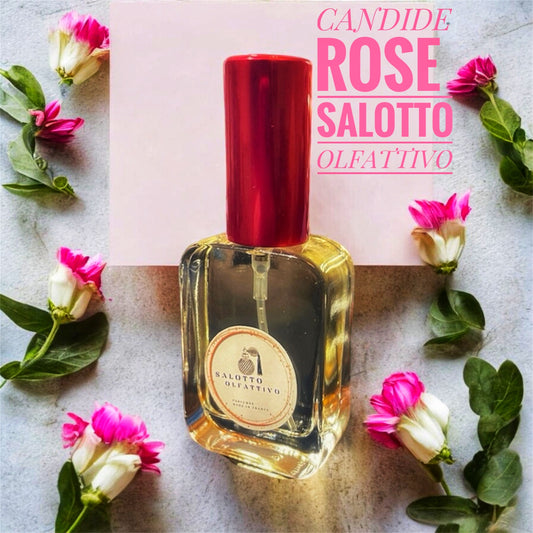 CANDIDE ROSE Salotto Olfattivo ispirato a Roses Musk di Montale