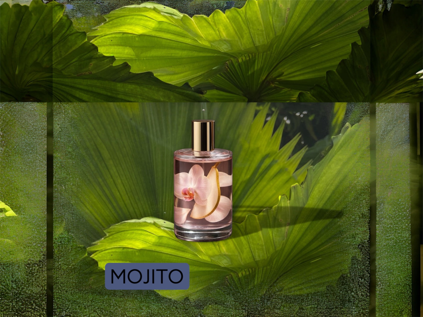 MOJITO inedito Salotto Olfattivo| Lime Basil