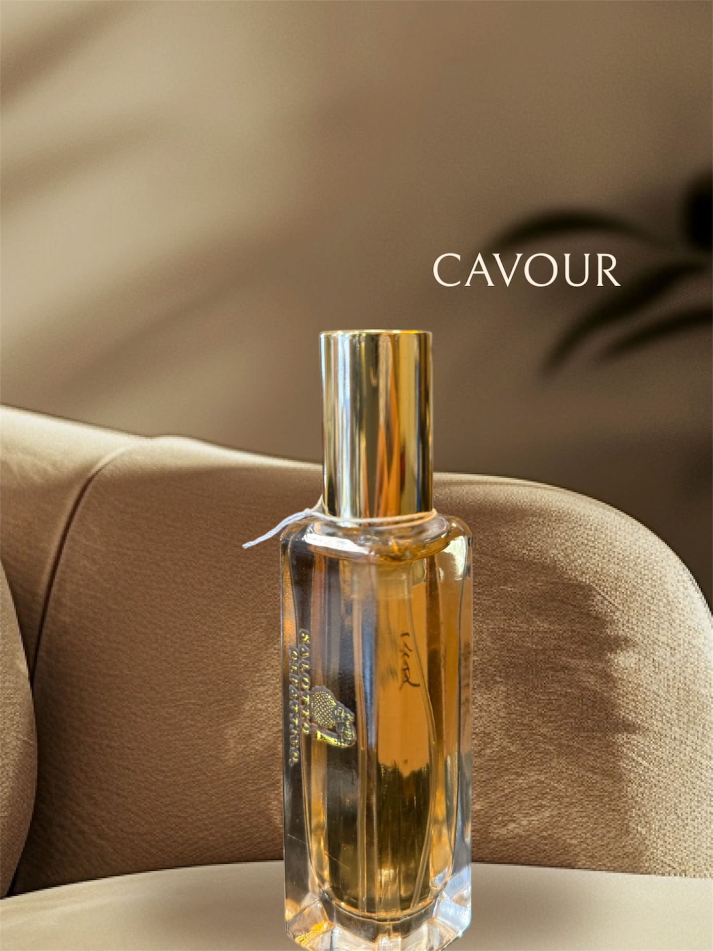 Fragranza CAVOUR Salotto Olfattivo profumo di nicchia ispirato a Silver Mountain Water
