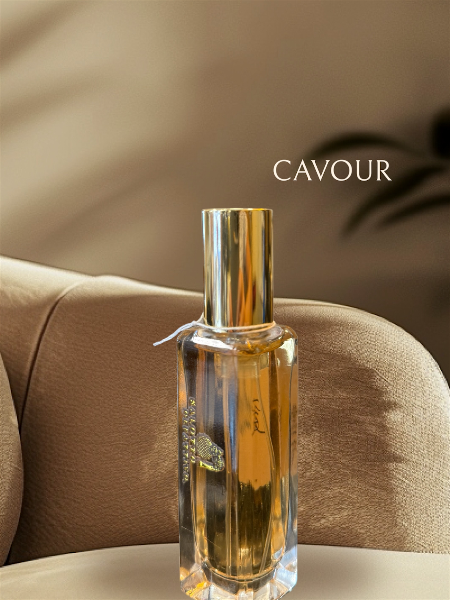 Fragranza CAVOUR Salotto Olfattivo profumo di nicchia ispirato a Silver Mountain Water
