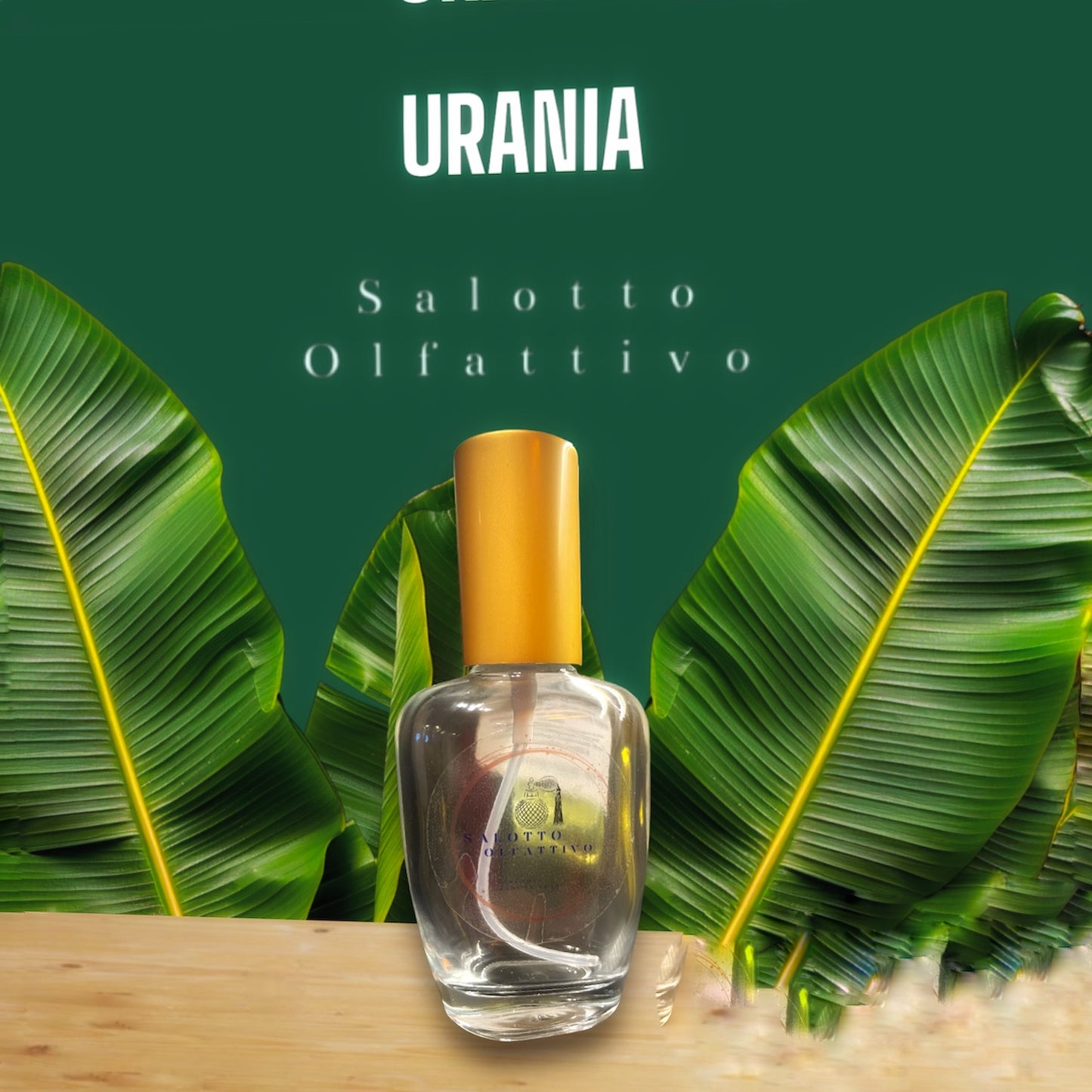 OLFACTORY LOUNGE-URANIA – Inspiriert von Dylan Purple Versace